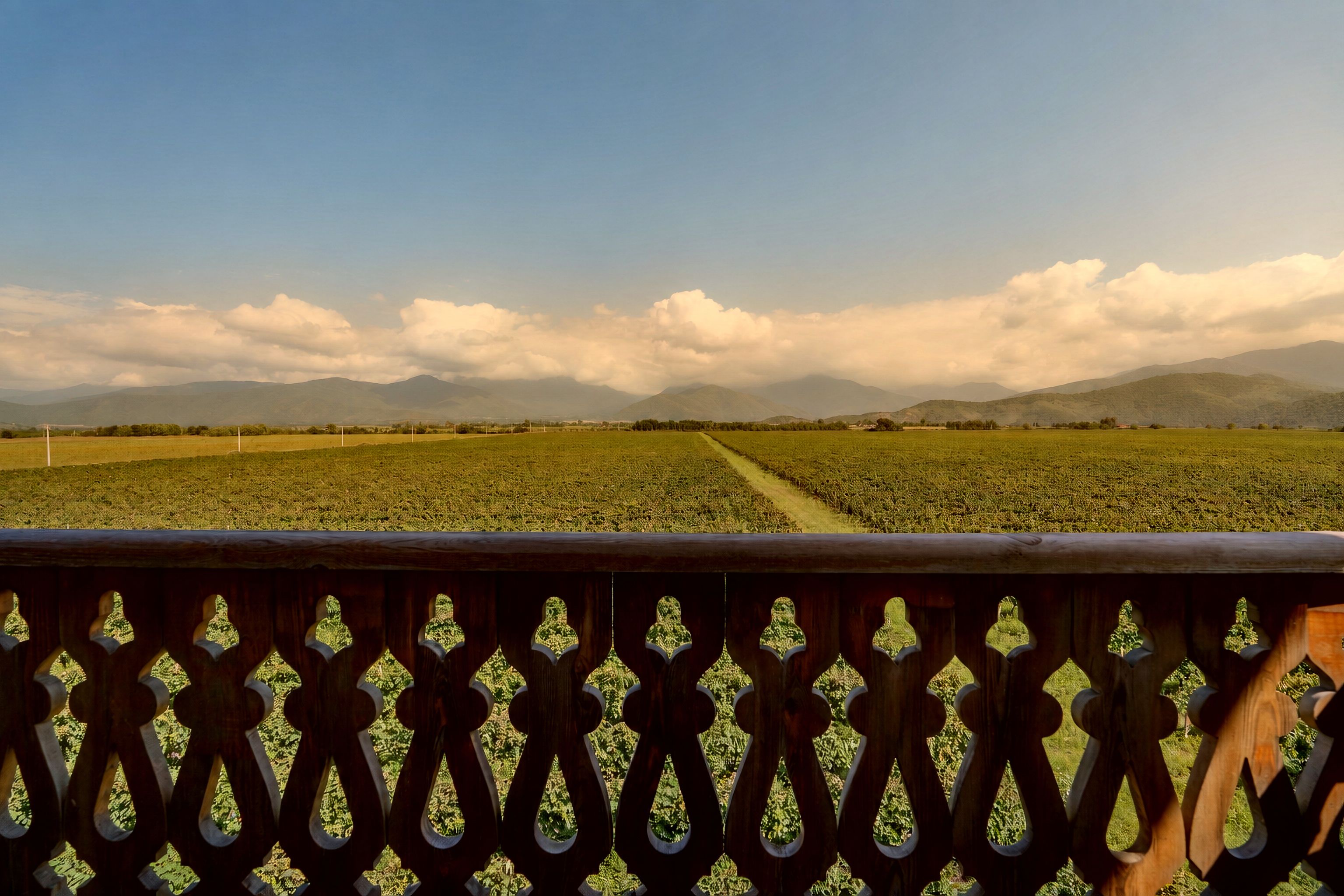 A view of a field with mountains in the distance, viewed through a wooden fence with a decorative pattern.