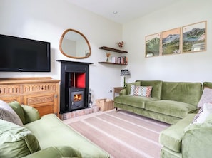 A living room with a fireplace, green sofas, a flat-screen TV, and bookshelves. - Dolhiryd (Llangollen)