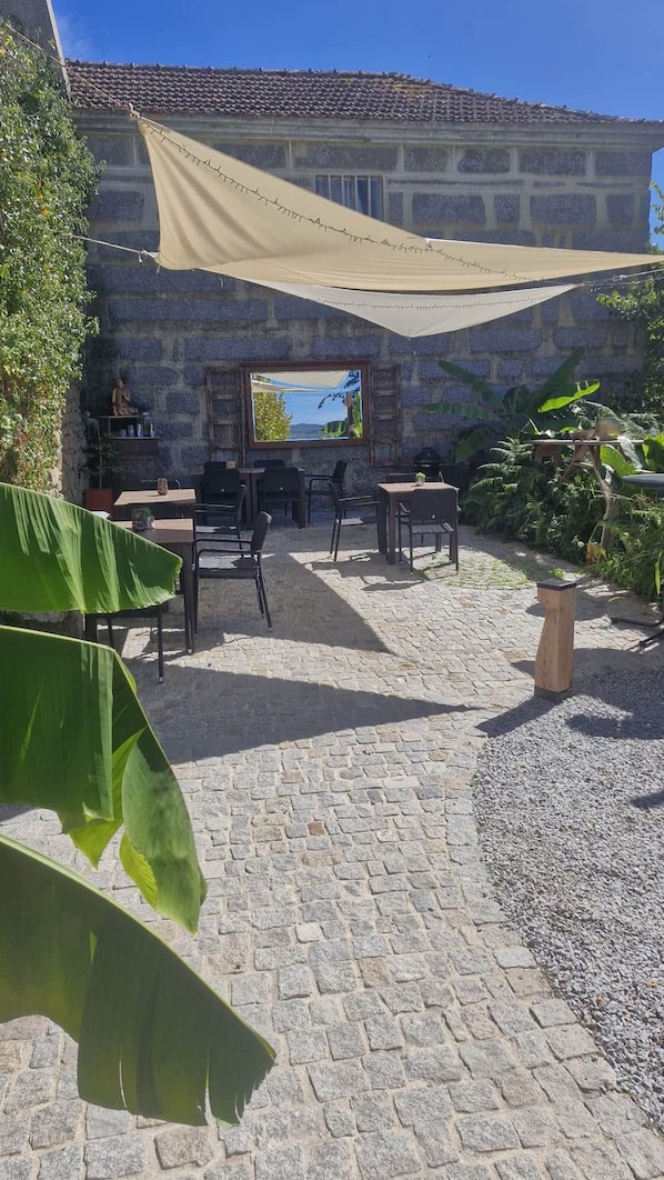 An outdoor patio area with stone flooring, tables, chairs, and a large plant.