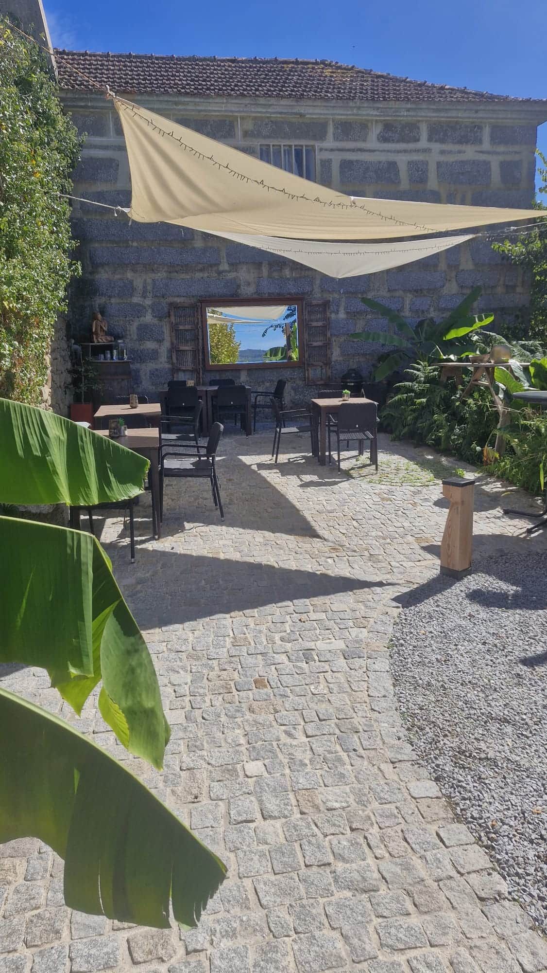 An outdoor patio area with stone flooring, tables, chairs, and a large plant.