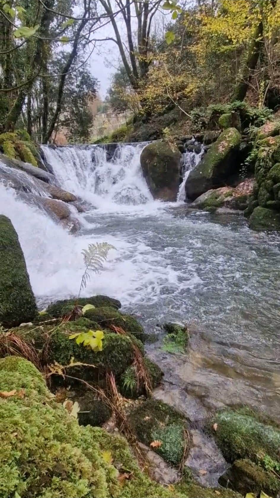 Waterfalls 1km walk