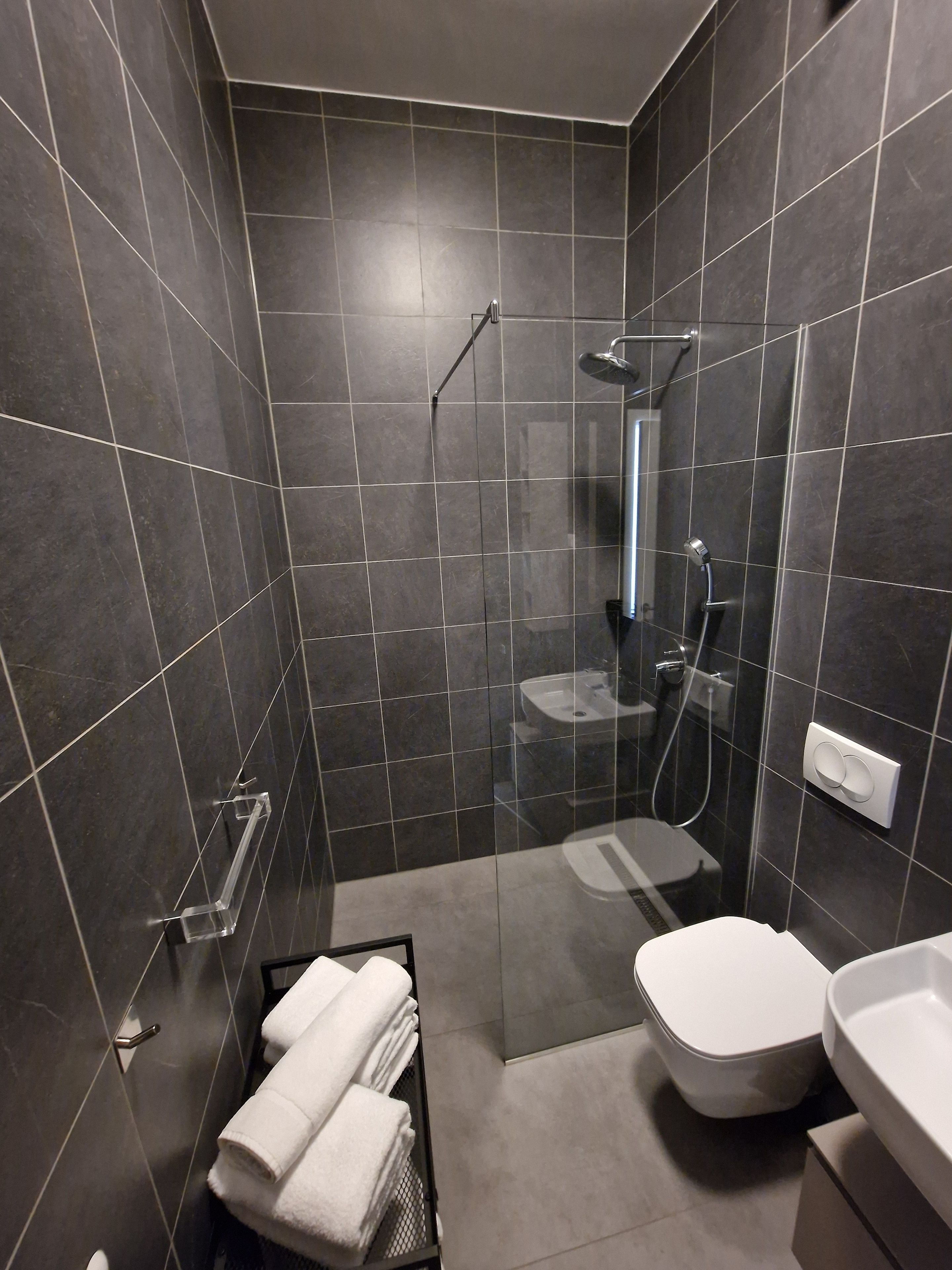 A modern bathroom with dark tiles, a glass shower enclosure, a toilet, and a sink.