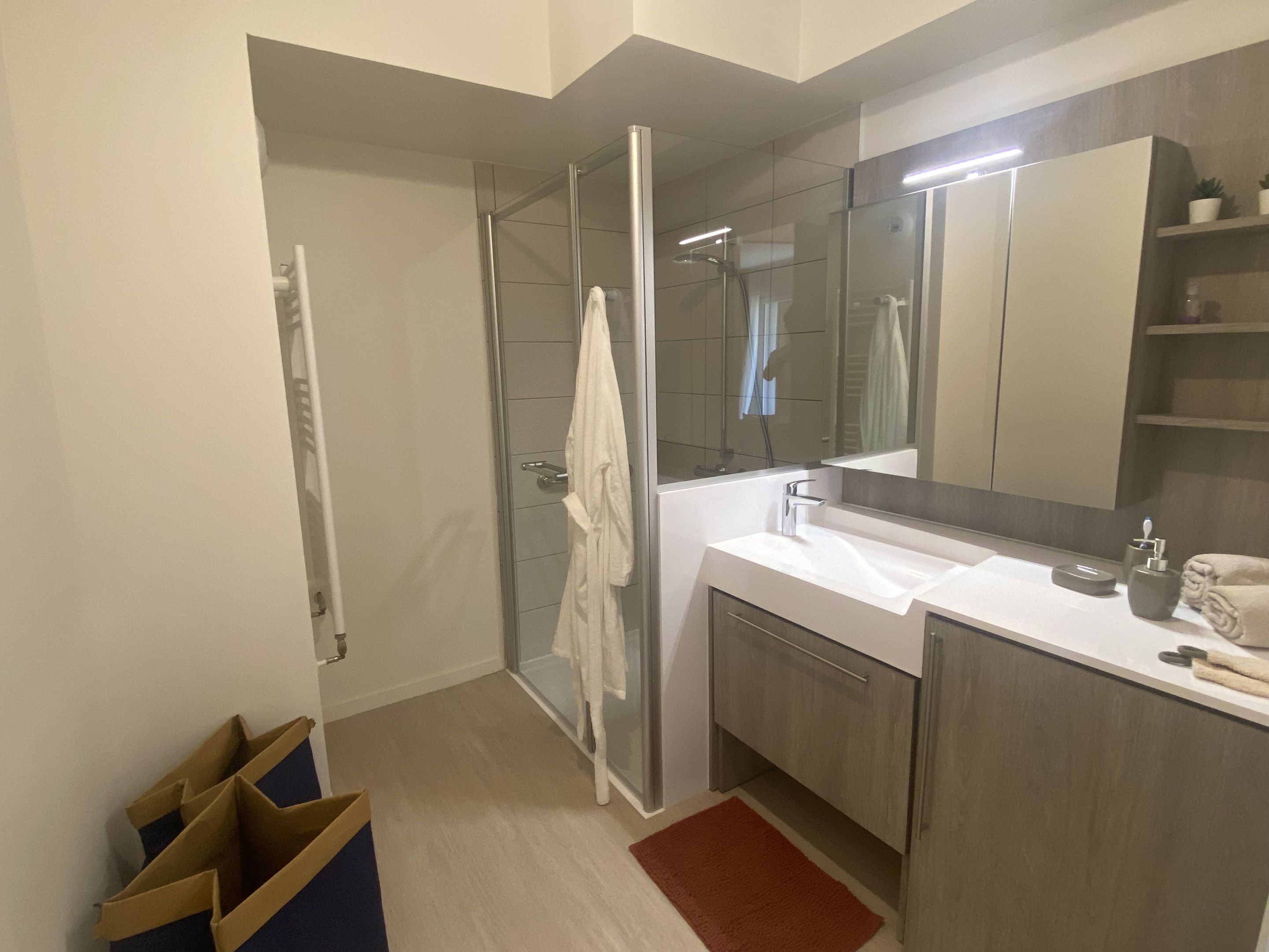 A modern bathroom with a glass shower enclosure, a white sink, and a large mirror.