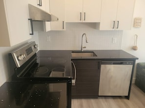 A modern kitchen with a black stove, stainless steel sink, and a dishwasher. - Big 2 rooms appartement 5mn from metro cote ste catherine / pet friendly (Montréal)