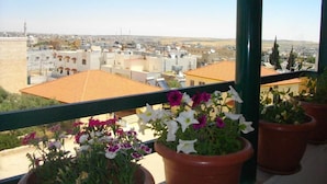 Varanda com vasos de flores e vista para prédios.