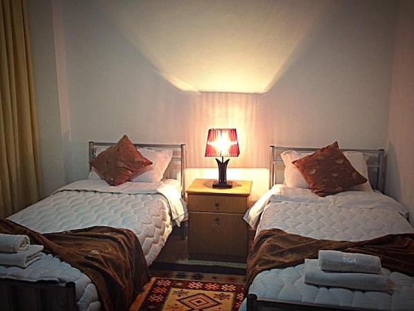 Una habitación de hotel con dos camas, una mesita de noche con lámpara y una alfombra estampada.