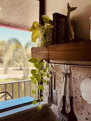 A kitchen counter with a hanging plant, a book, and kitchen utensils.