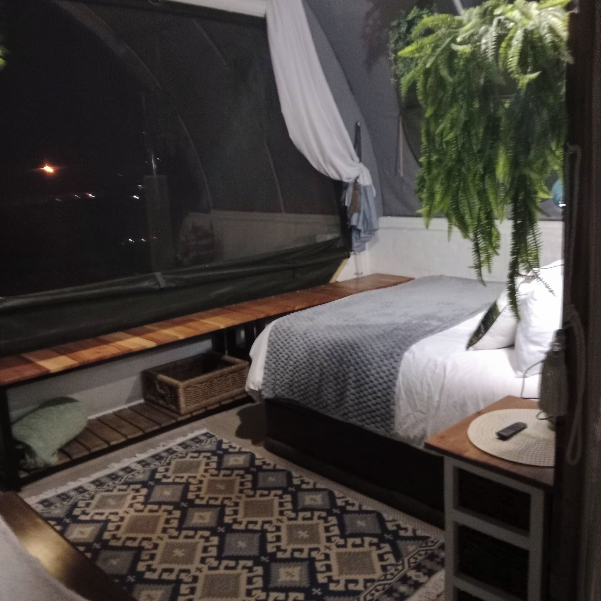 Une chambre avec une grande fenêtre, un lit, une table de chevet, une plante suspendue et un tapis à motifs.