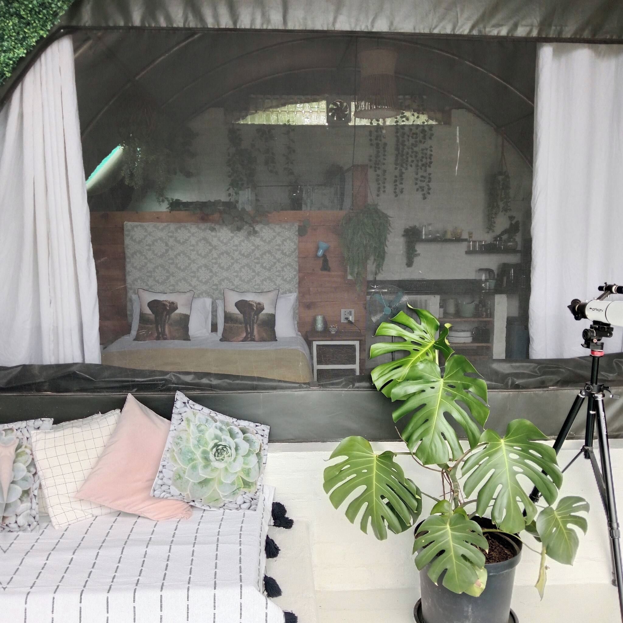 A room with a bed, a potted plant, and a tripod with a camera.