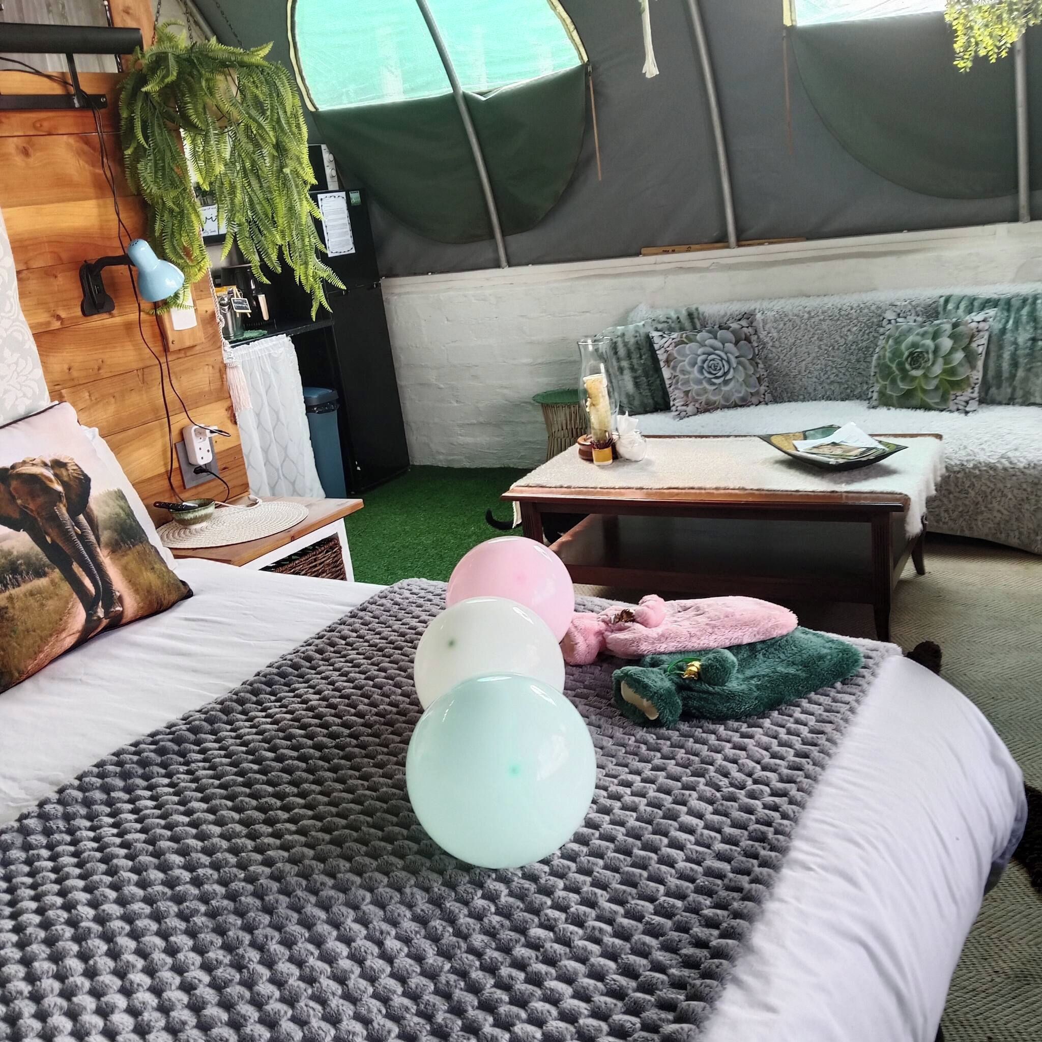 A cozy room with a bed, a small table, a sofa, and a hanging plant.