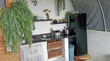 Une cuisine de taille réduite avec un réfrigérateur noir, un évier et une plante suspendue.