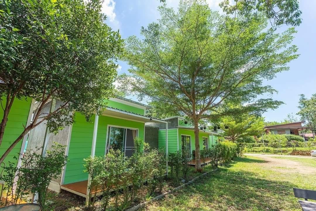 Una hilera de casas móviles verdes con un patio cubierto de césped y árboles.