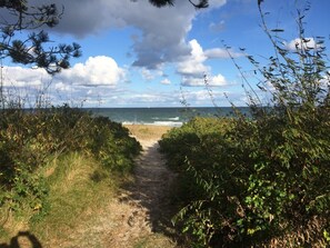 Ein Küstenpfad, der zum Strand führt, gesäumt von dichter Vegetation.