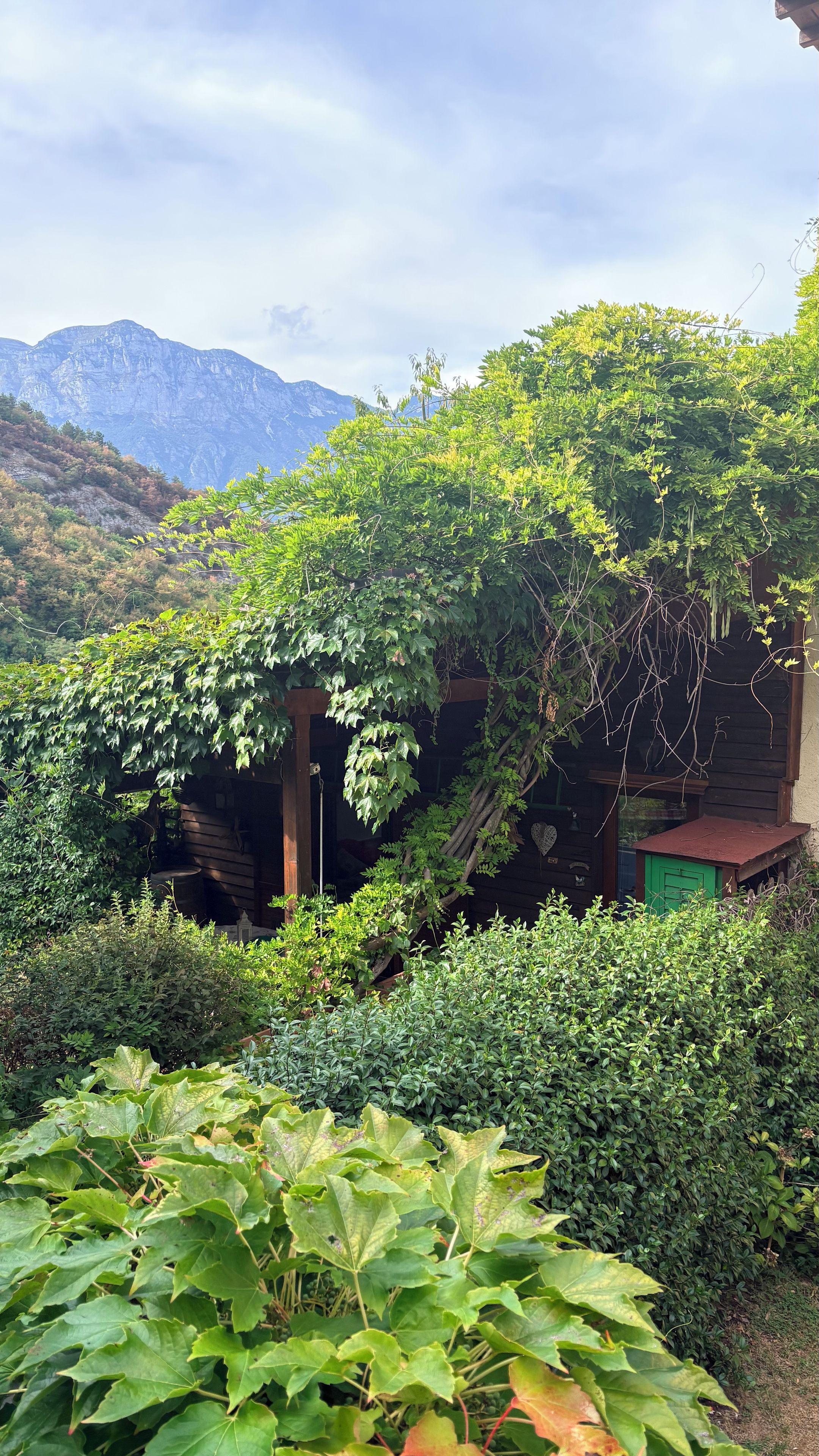 Una cabaña rústica con fachada de madera, rodeada de vegetación exuberante y montañas al fondo.