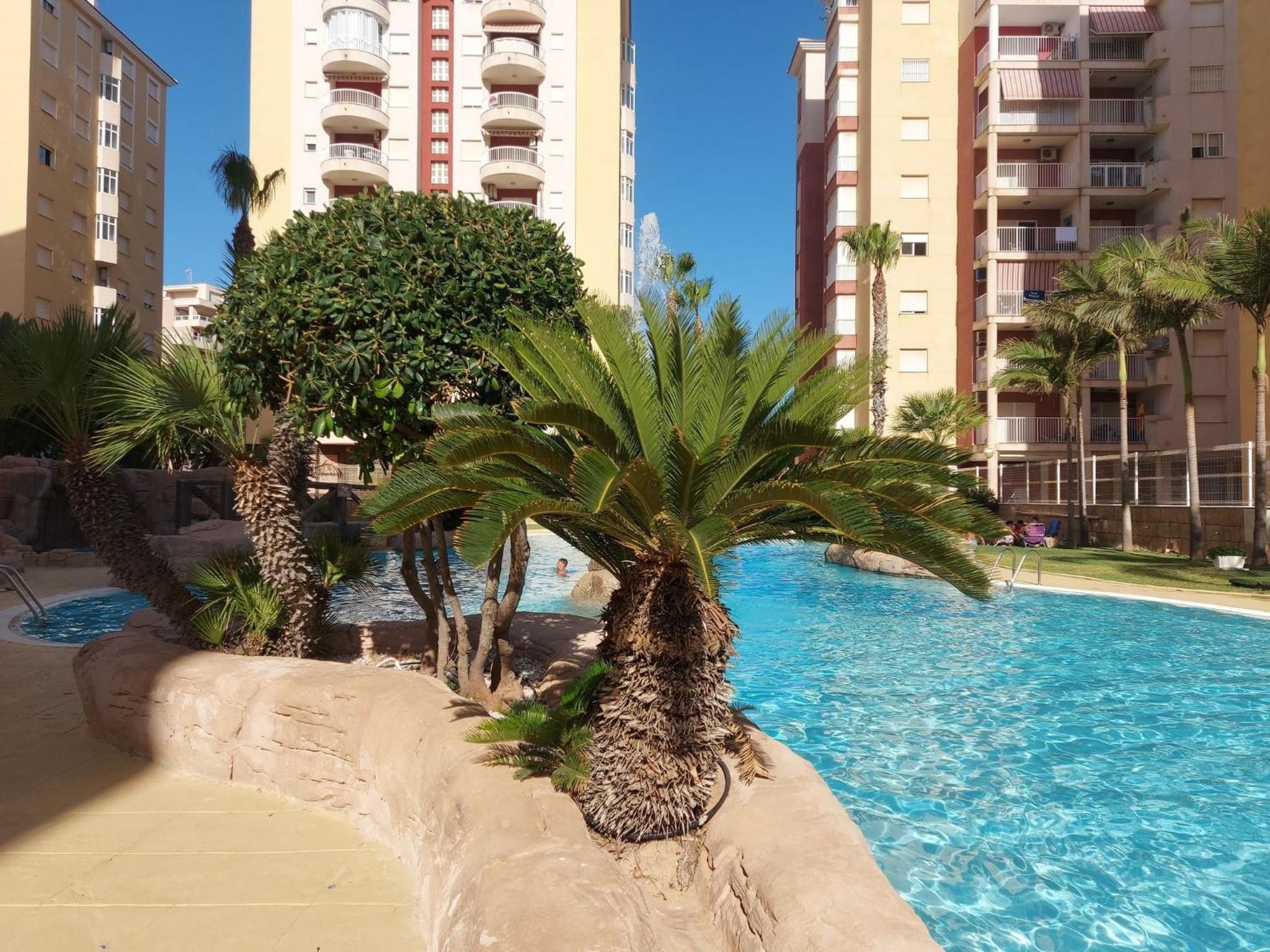 A swimming pool with palm trees and a building in the background.
