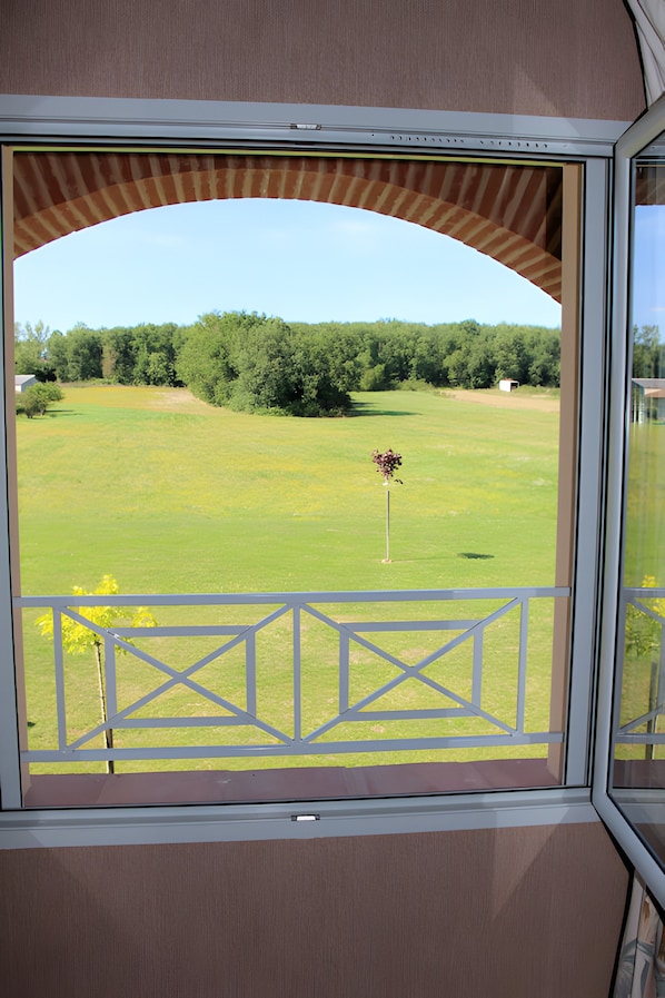 Une vue depuis une fenêtre donnant sur un champ verdoyant et des arbres.