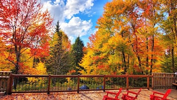 Une terrasse en bois dotée d’une rambarde, entourée d’arbres aux feuilles d’automne.