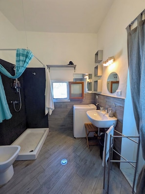 A modern bathroom with a shower, toilet, and sink.
