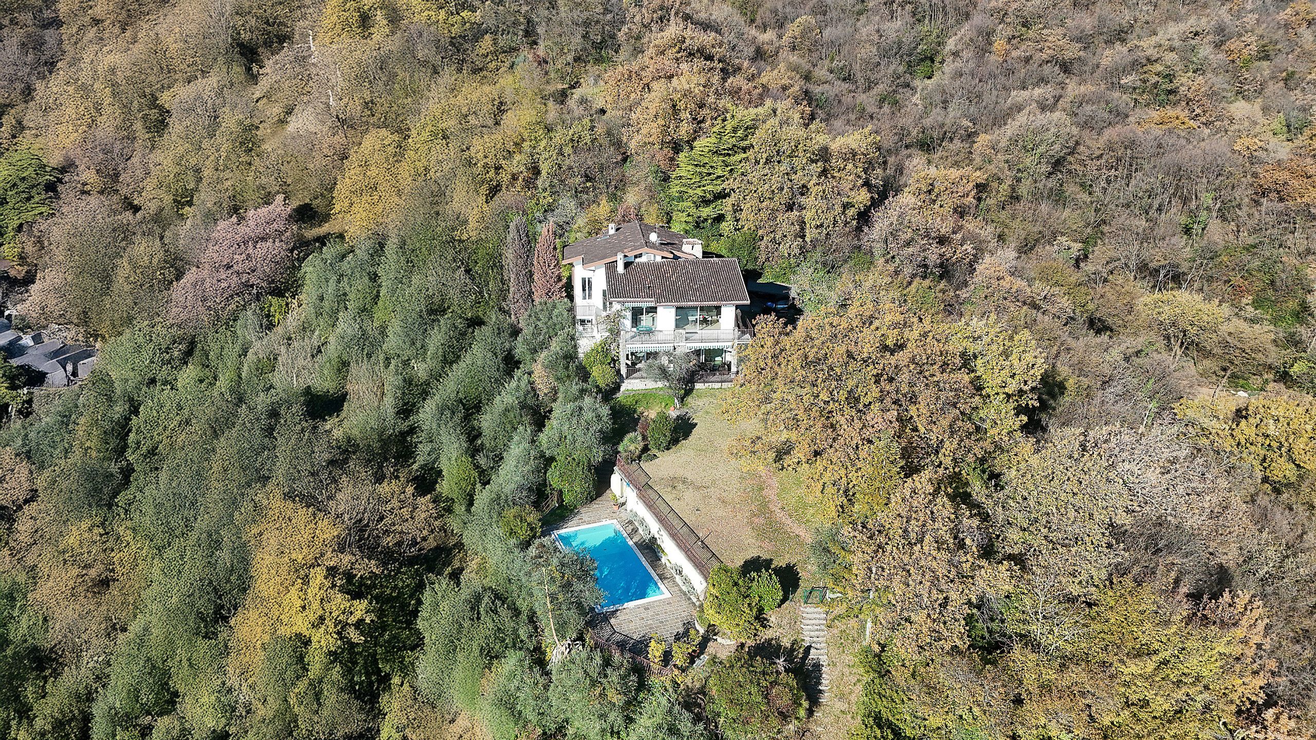 A house with a swimming pool surrounded by dense forest.