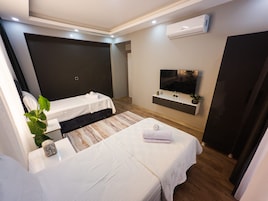 A modern hotel room with two beds, a flat-screen TV, a small plant, and a built-in air conditioning unit.