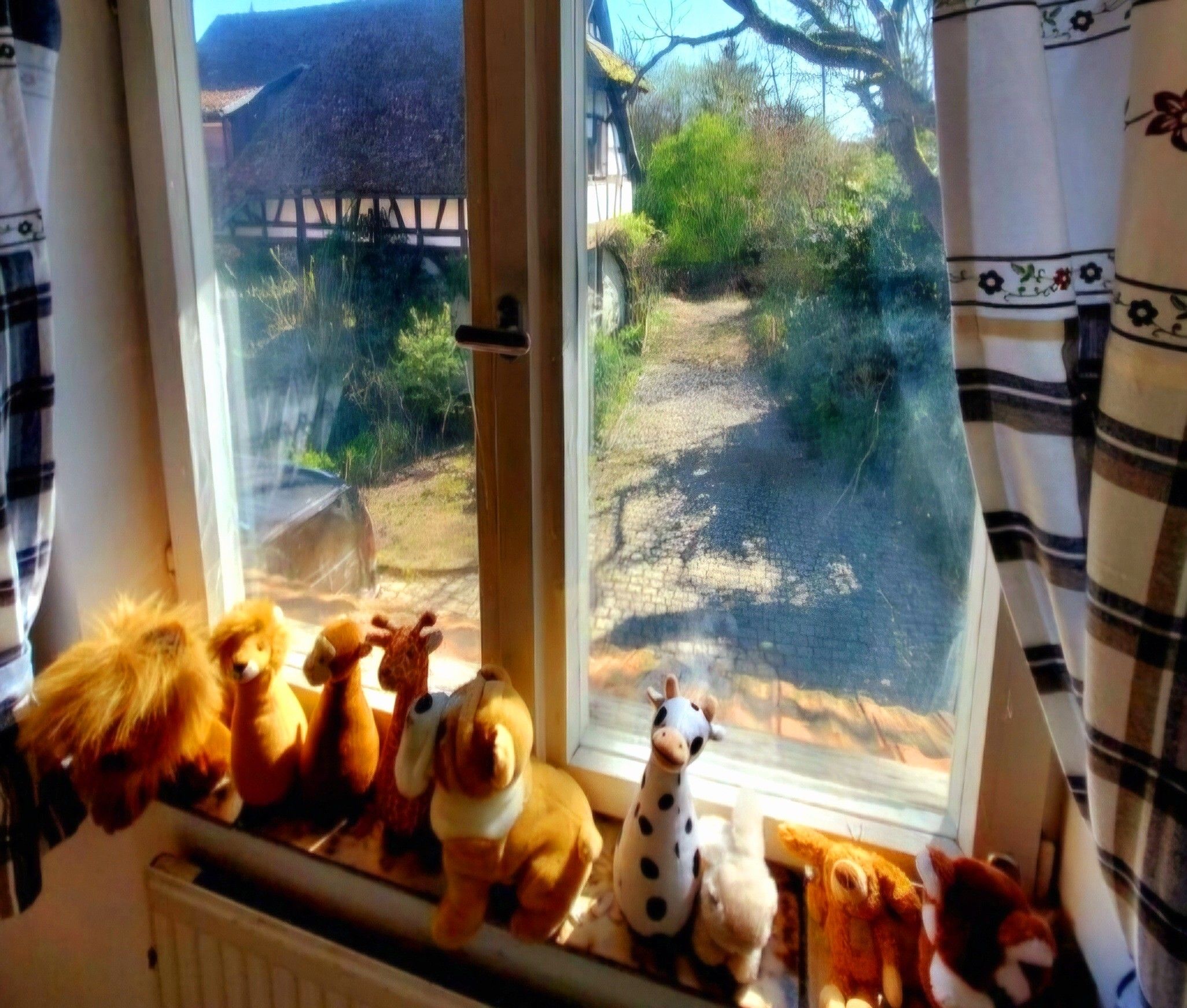 Une fenêtre donnant sur un paysage rural, avec une maison et des arbres.