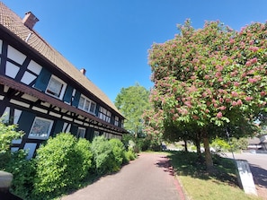 A traditional half-timbered house with a paved pathway leading to it, surrounded by lush greenery and a flowering tree.