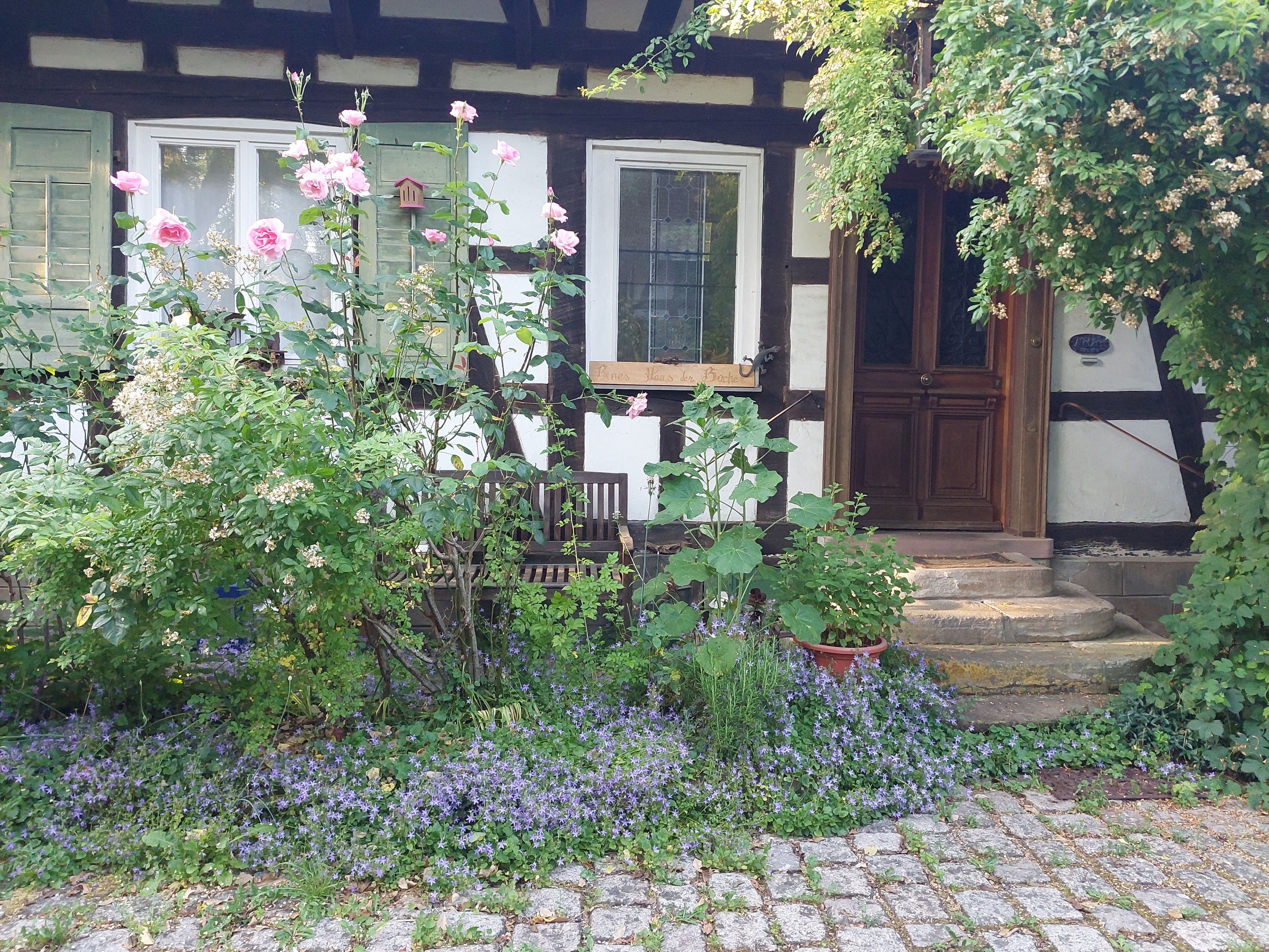 A traditional half-timbered house with a wooden door, a bench, and a garden with flowers and plants.