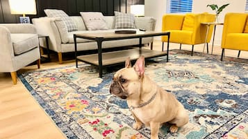 Una sala de estar con alfombra estampada, un sofá, una mesita de centro y un sillón amarillo.
