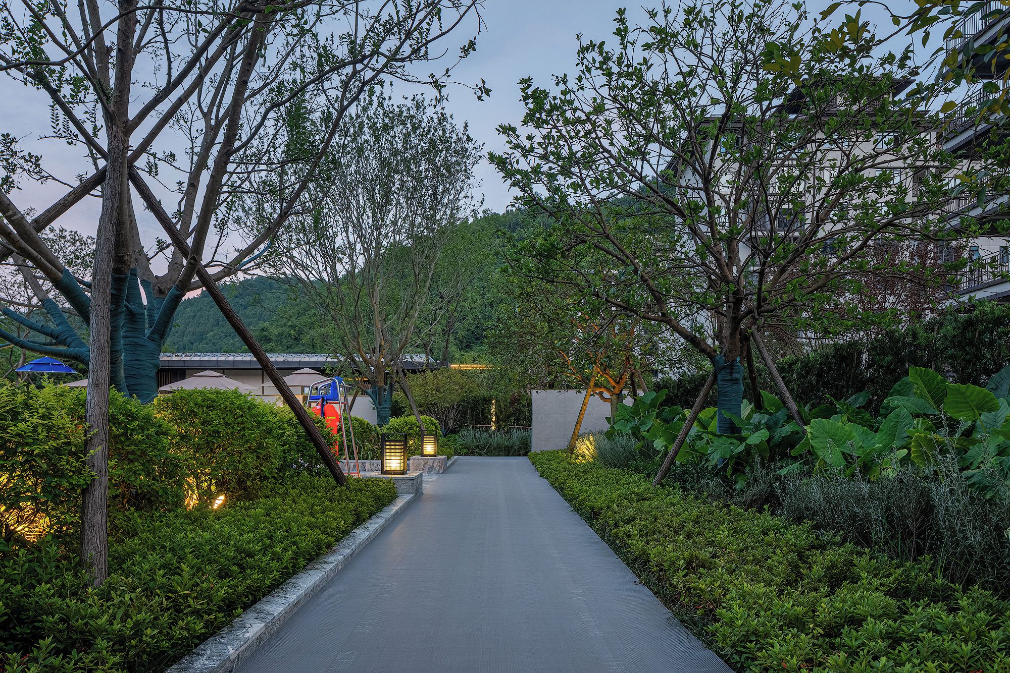 A pathway flanked by lush greenery and trees, leading to a building with a traditional roof.
