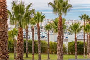 Une rangée de palmiers dans un espace paysager, avec une marina et des bâtiments en arrière-plan.