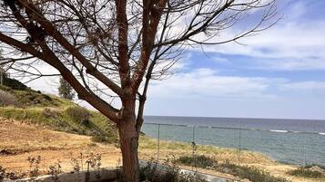 Un banco bajo un árbol junto a un sendero costero con vistas al mar.