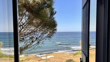 A view from a window overlooking a beach with a tree and ocean.