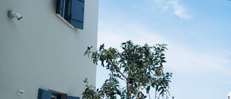A building with a white facade, a blue shuttered window, and a tree with green leaves.