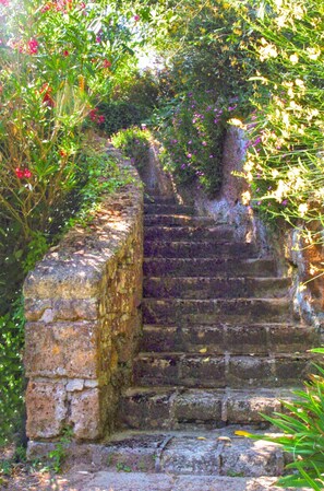 A stone staircase surrounded by lush greenery and flowering plants. - Montecasciano Oleandro (Capranica)