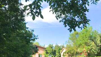 A rural setting with a house, a grassy area, and trees.