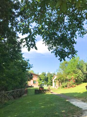 A rural setting with a house, a grassy area, and trees.