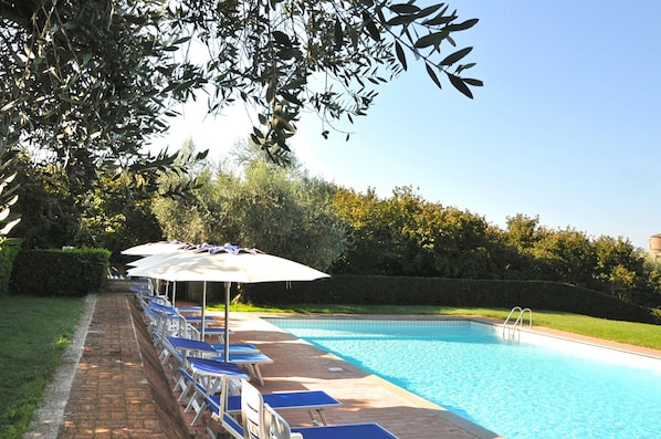 A swimming pool with lounge chairs and umbrellas, surrounded by greenery.