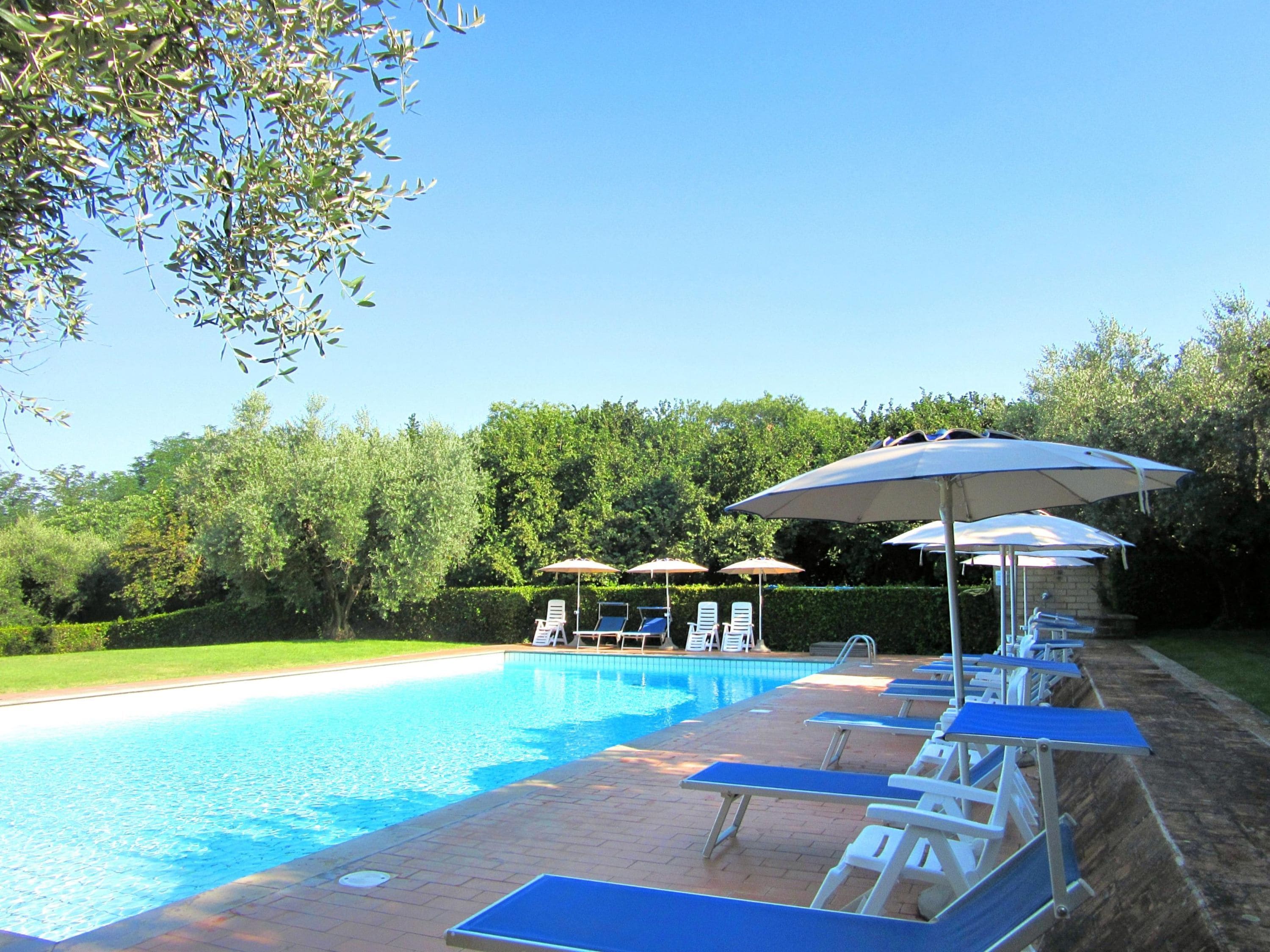 Une piscine entourée de verdure, avec des chaises longues et des parasols.