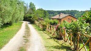 A gravel path leading to a row of rustic houses with a wooden fence and flowering plants. - Montecasciano Mimosa (Capranica)