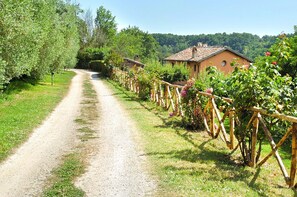 A gravel path leading to a row of rustic houses with a wooden fence and flowering plants. - Montecasciano Mimosa (Capranica)