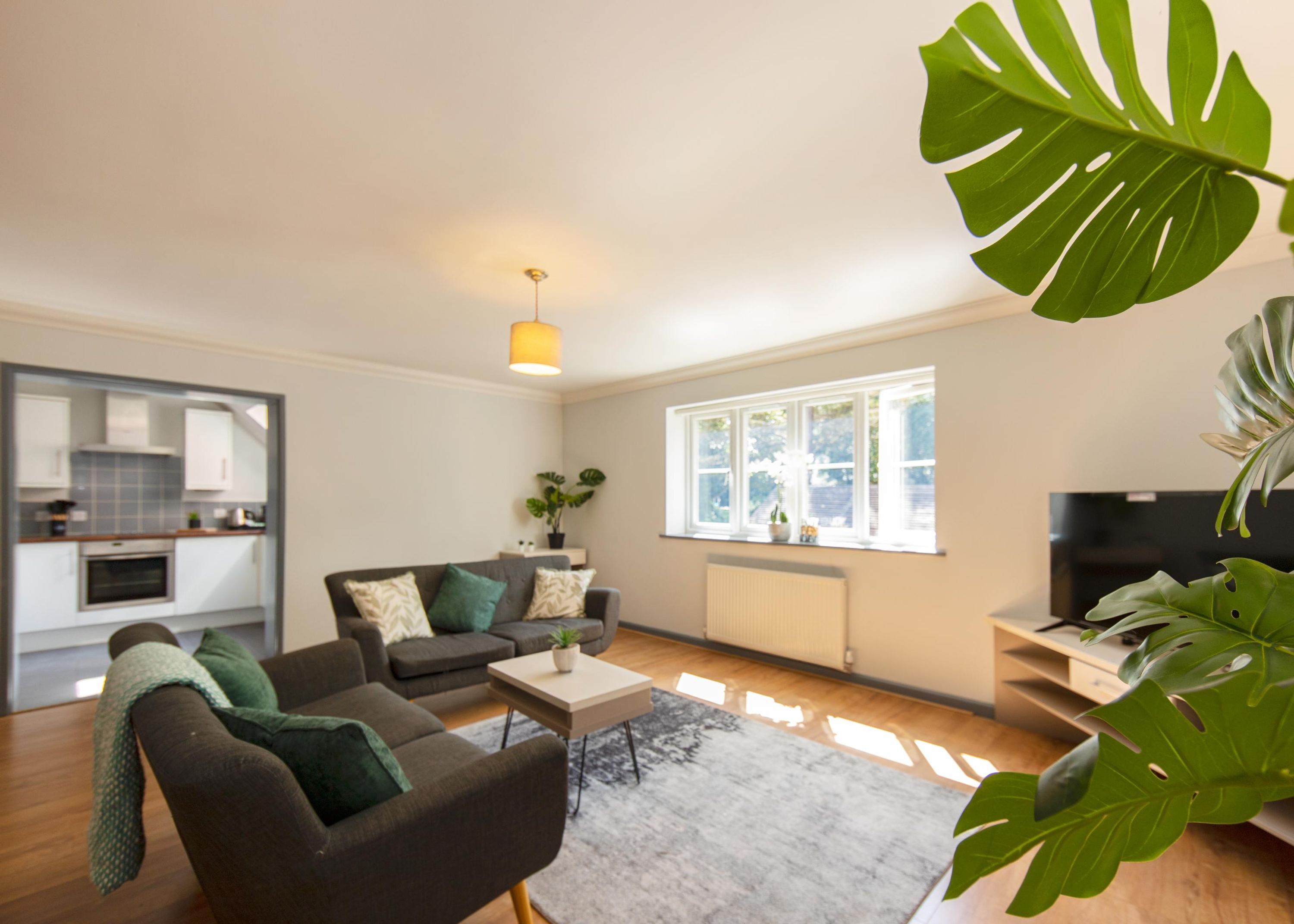 A modern living room with a sofa, coffee table, and a large plant.