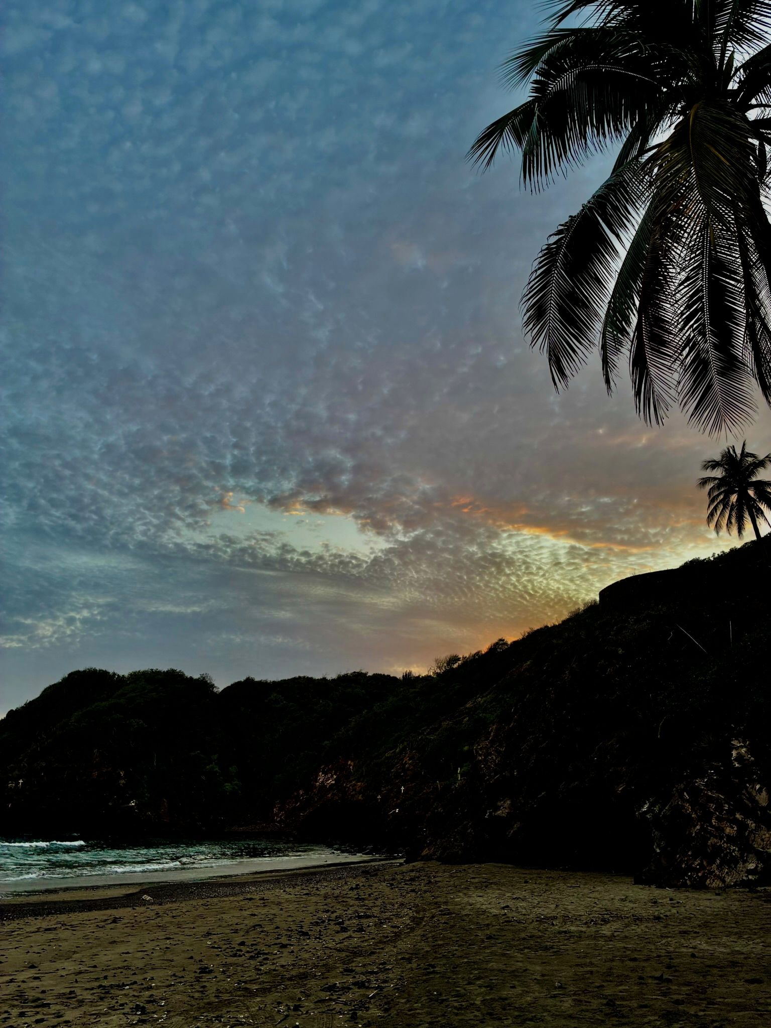 Ein Strand mit einer Palme, einem felsigen Hügel und einem bewölkten Himmel.