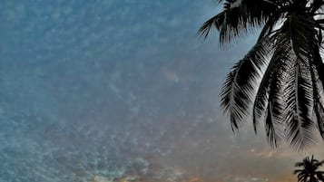 Ein Strand mit einer Palme, einem felsigen Hügel und einem bewölkten Himmel.