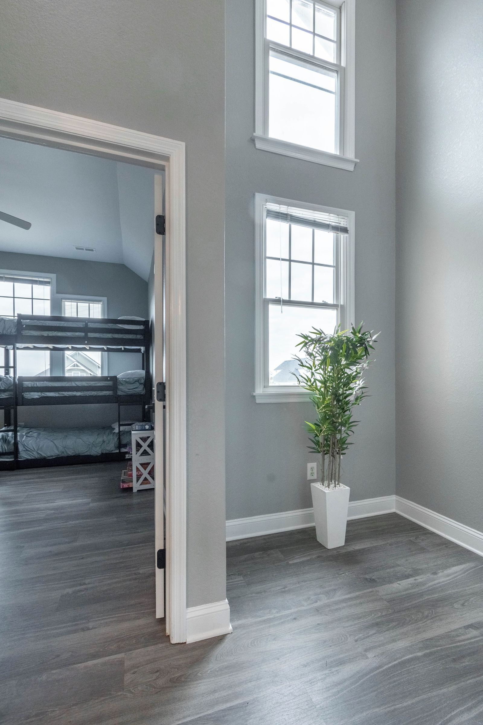 A room with a bunk bed, a potted plant, and a large window.