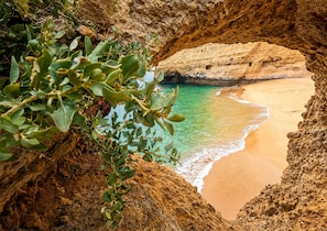 A natural cave opening to a sandy beach with clear water and green foliage in the foreground. - Villa Maris - Your Place in the Sun (Carvoeiro)