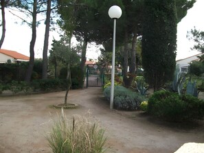 Un jardín con un camino, un farol y diversas plantas.