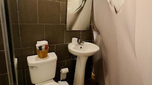 Ein Badezimmer mit Toilette, Waschbecken und Spiegel.