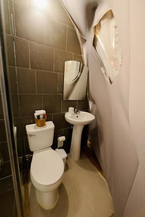 Ein Badezimmer mit Toilette, Waschbecken und Spiegel.