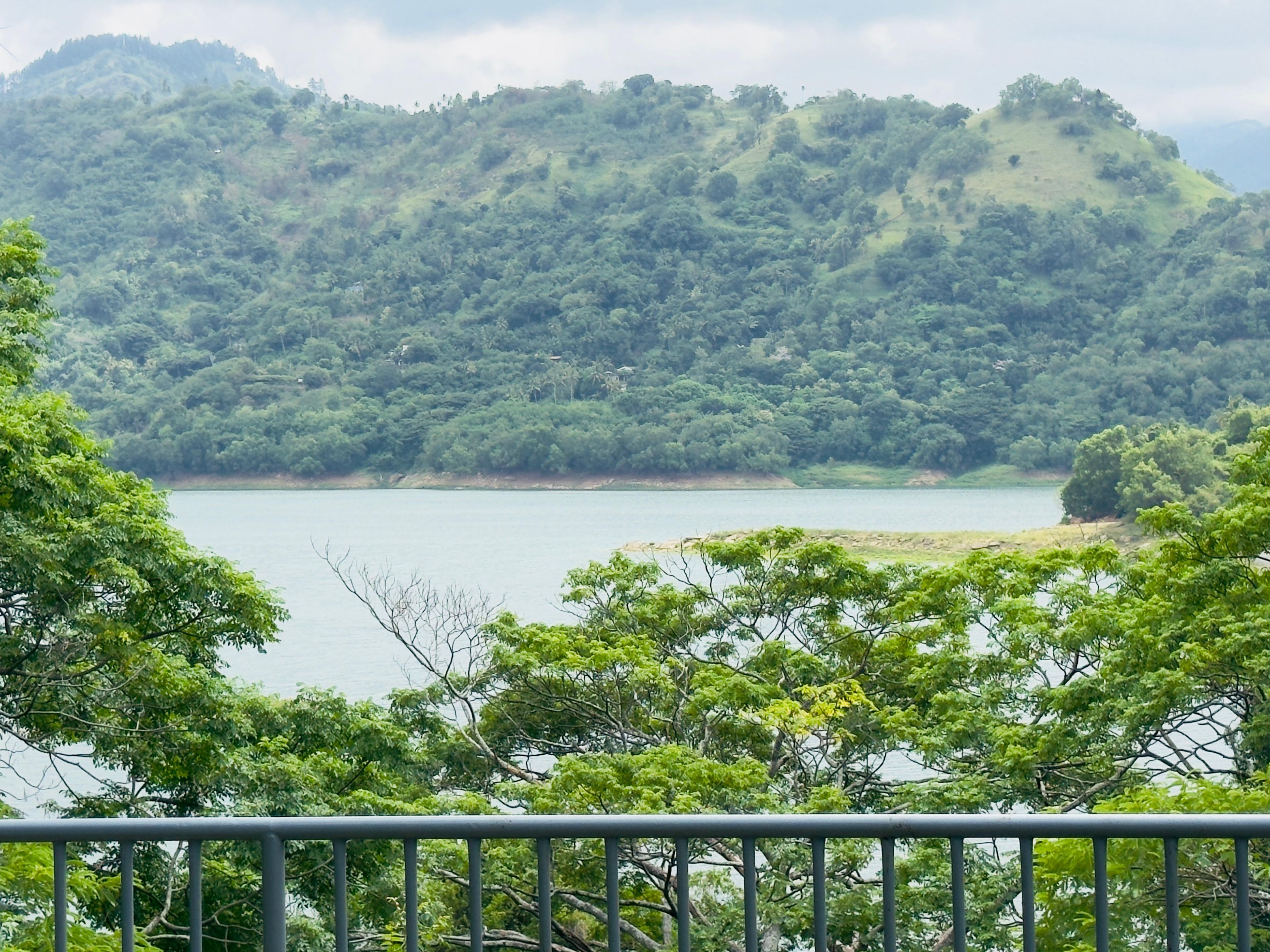 Paisaje natural con un lago, colinas boscosas y una barandilla de metal en primer plano.