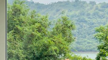 A view of a lush green landscape with a body of water in the distance, and a balcony with potted plants.